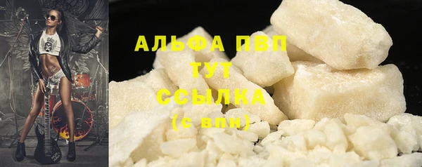 ECSTASY Майский