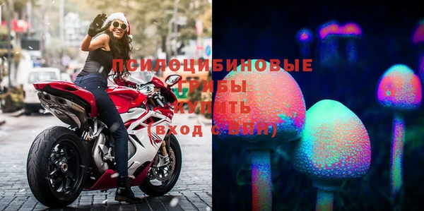 spice Магас