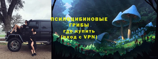 тгк Мегион