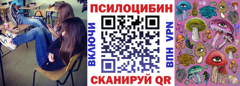 наркота  Алупка  Псилоцибиновые грибы Psilocybe 